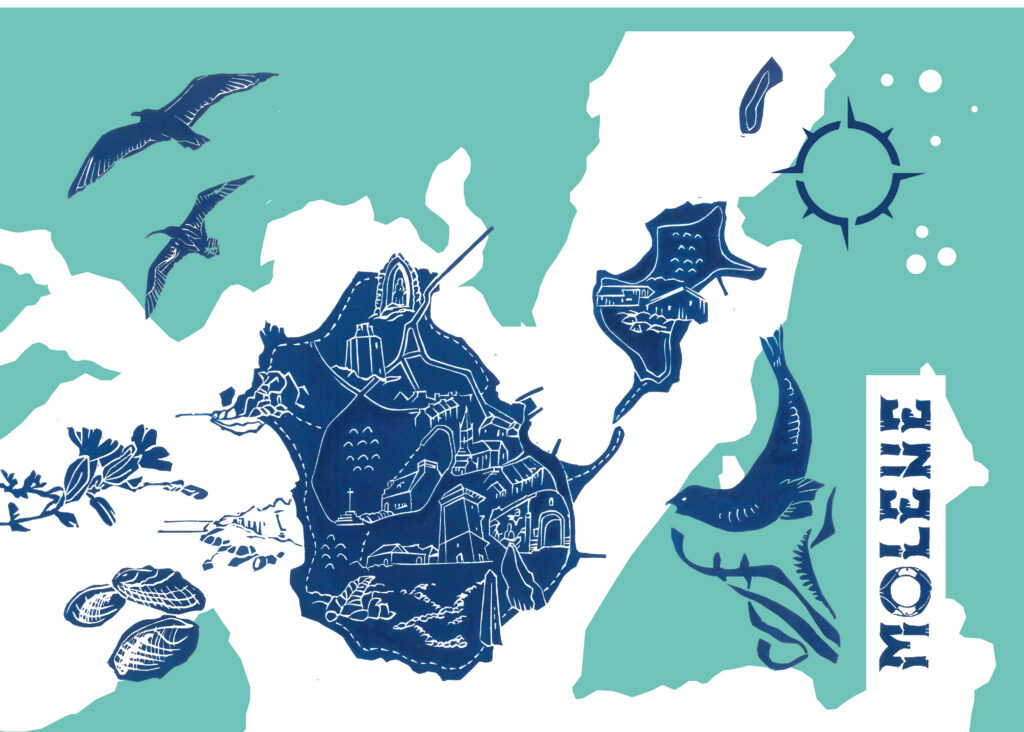 Illustration de l'île de Molène avec carte de l'île, phares, oiseaux et éléments marins