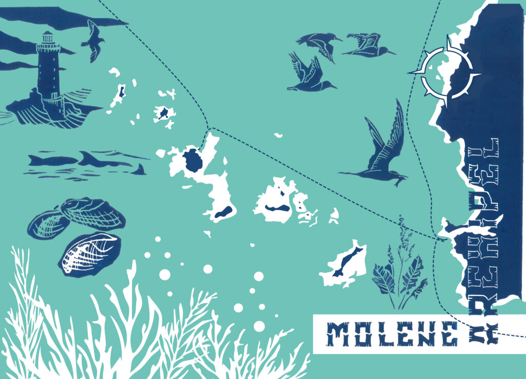 Illustration et gravure de l'archipel de Molène
